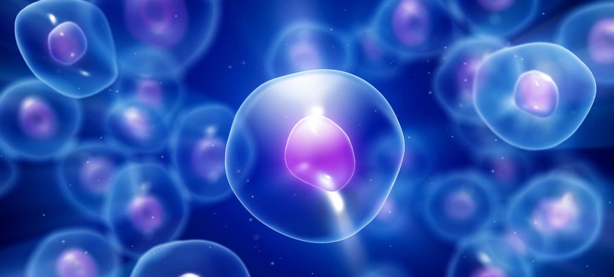 Un nuevo estudio sugiere que las células poseen un sistema de comunicación oculto.