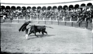 1OO años de la muerte de Nacional II: Cómo el torero temerario falleció de un botellazo en una trifulca taurina en Soria