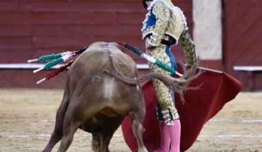 Pablo Aguado gana el Capote de Paseo sobre la bocina