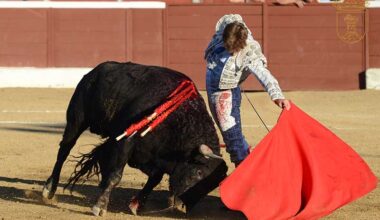 Álvaro Serrano es uno de los triunfadores de la Feria taurina 2025 de Guadarrama