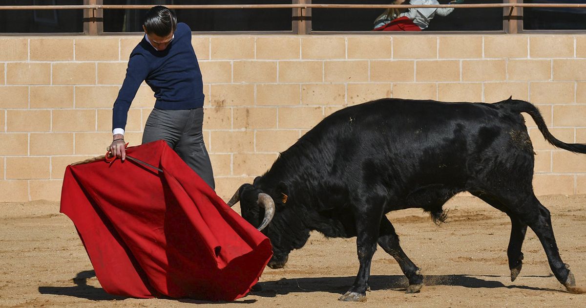 Bruno Aloi se despide de su peña en España