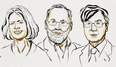 Brunkow, Ramsdell y Sakaguchi ganan el Nobel de Medicina 2025 por sus hallazgos sobre el sistema inmunitario