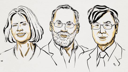 Brunkow, Ramsdell y Sakaguchi ganan el Nobel de Medicina 2025 por sus hallazgos sobre el sistema inmunitario