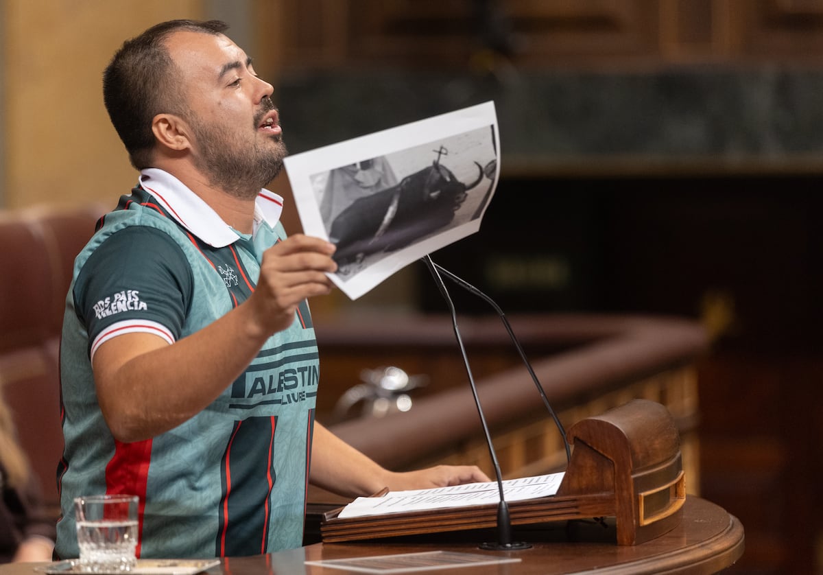 EL PAÍS