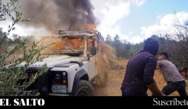 Colonos y soldados sionistas atacan la recolección de aceitunas al sur de Nablus - El Salto