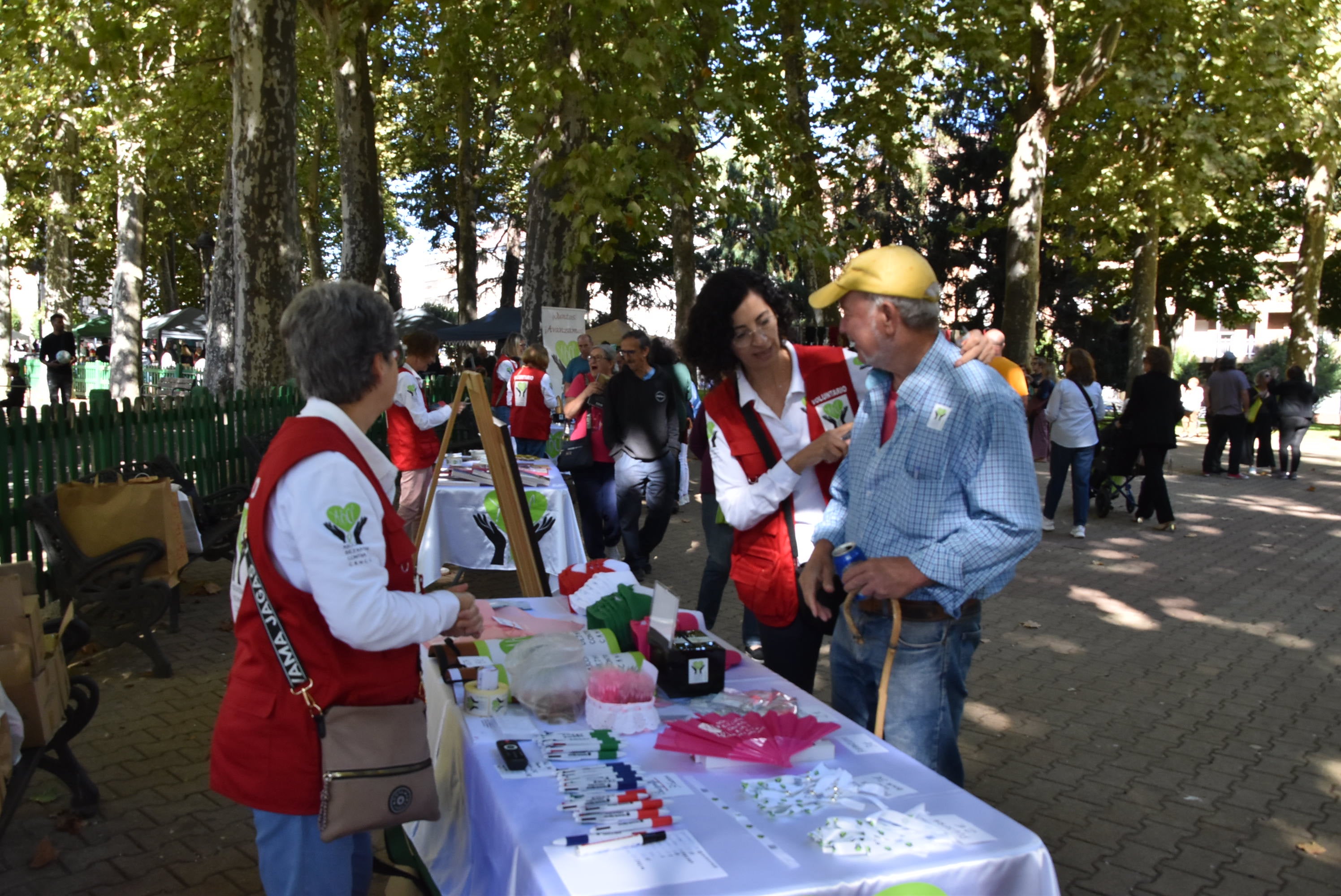La solidaridad contra el cáncer sale a la calle en Béjar