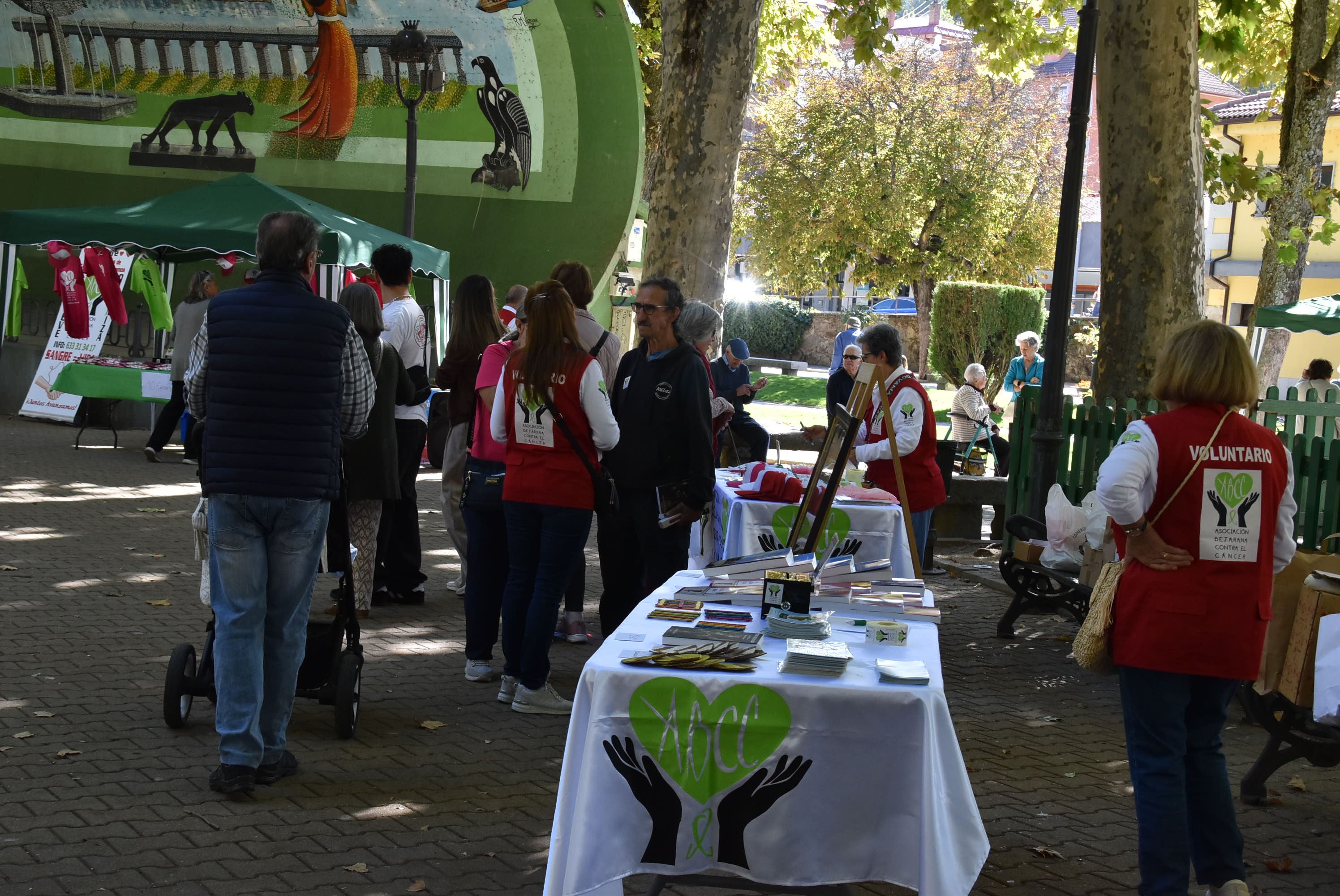 La solidaridad contra el cáncer sale a la calle en Béjar