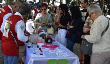 La solidaridad contra el cáncer sale a la calle en Béjar