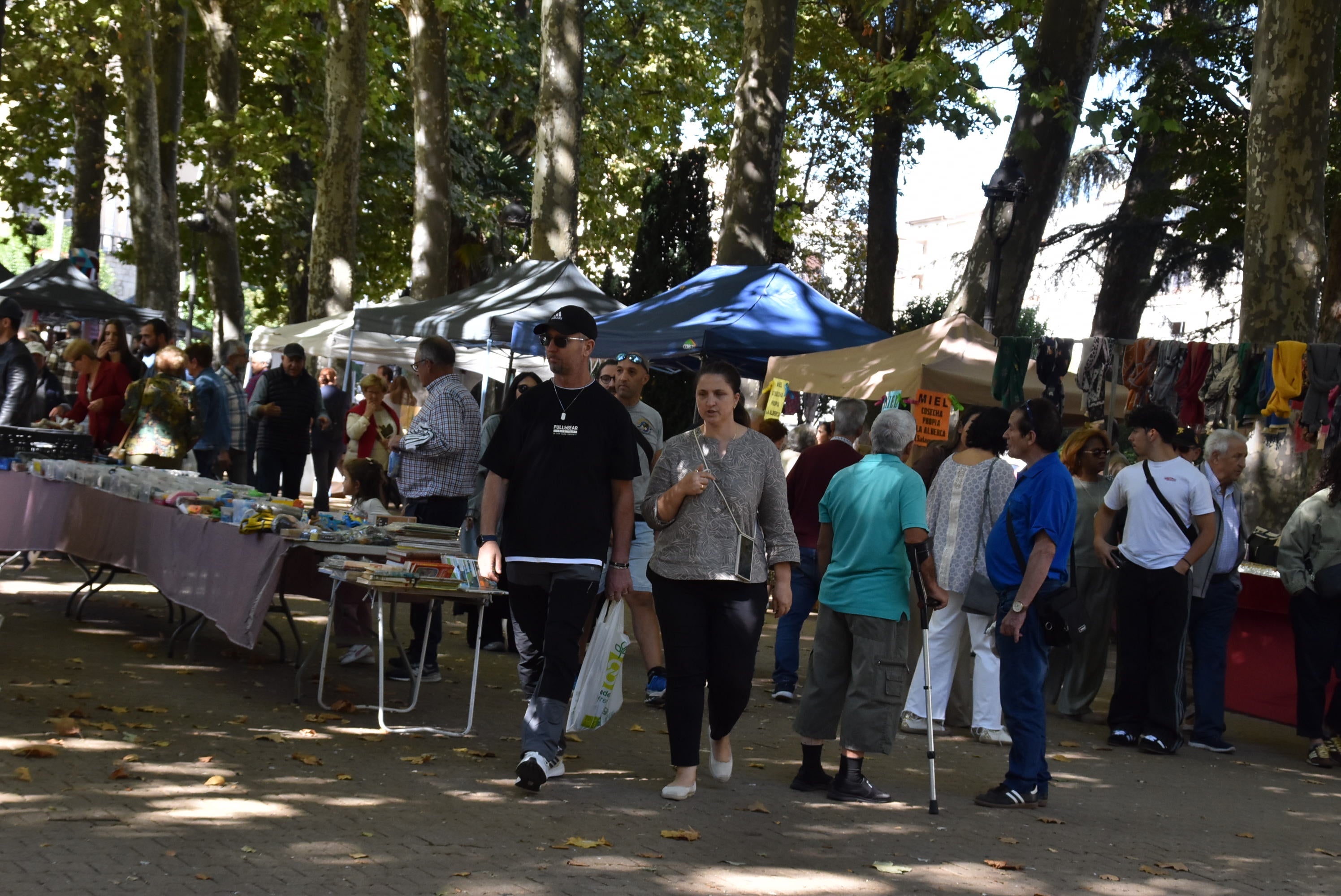 La solidaridad contra el cáncer sale a la calle en Béjar