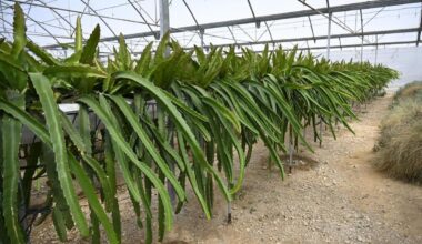 La producción agroalimentaria recupera niveles prepandemia