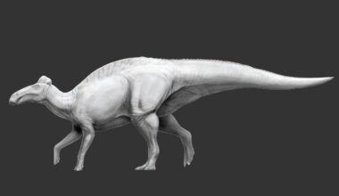 Sensacional descubrimiento: Hallado el primer dinosaurio con pezuñas