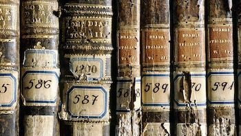 Ubicada en la Universidad de