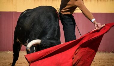 Bruno Aloi reaparecerá este viernes en Las Ventas