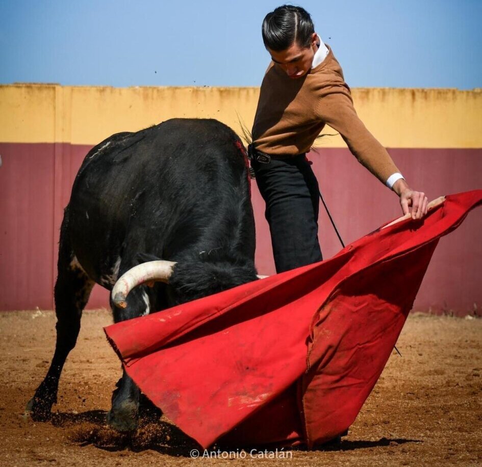 Bruno Aloi reaparecerá este viernes en Las Ventas