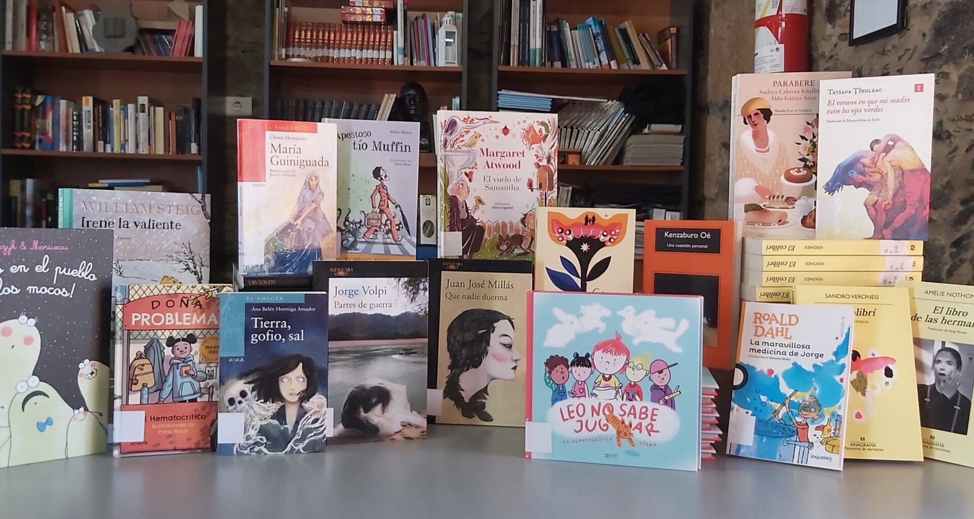 La Biblioteca Municipal de Santa Brígida incorpora nuevos títulos » Ayuntamiento de la Villa de Santa Brígida