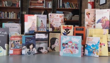 La Biblioteca Municipal de Santa Brígida incorpora nuevos títulos » Ayuntamiento de la Villa de Santa Brígida