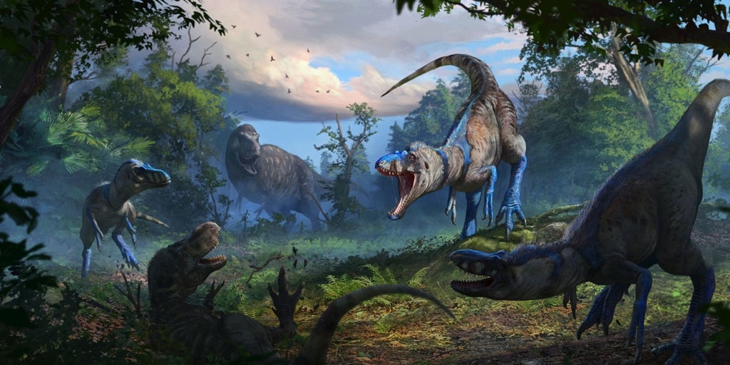 El dinosaurio Nanotyrannus existe y eso cambia por completo la historia del T-Rex