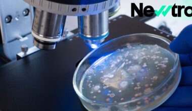 Estas son las cuatro bacterias que más preocupan por su resistencia