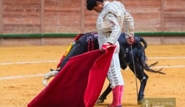 Osornio arma el taco con un Cabrero de El Montecillo de vuelta al ruedo