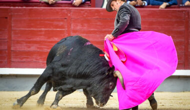 Torería añeja en las perlas de Frascuelo con el tercero