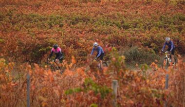 A golpe de pedal en la tierra del vino
