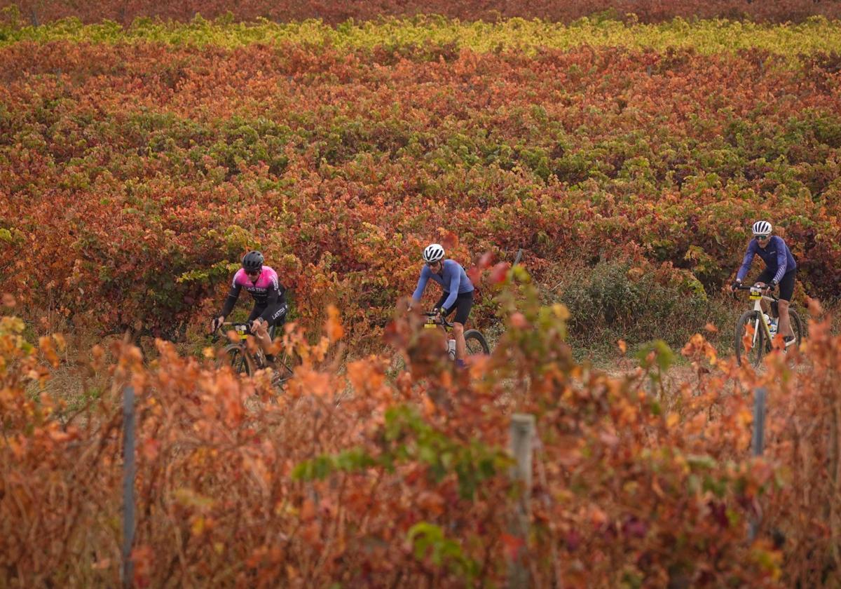 A golpe de pedal en la tierra del vino