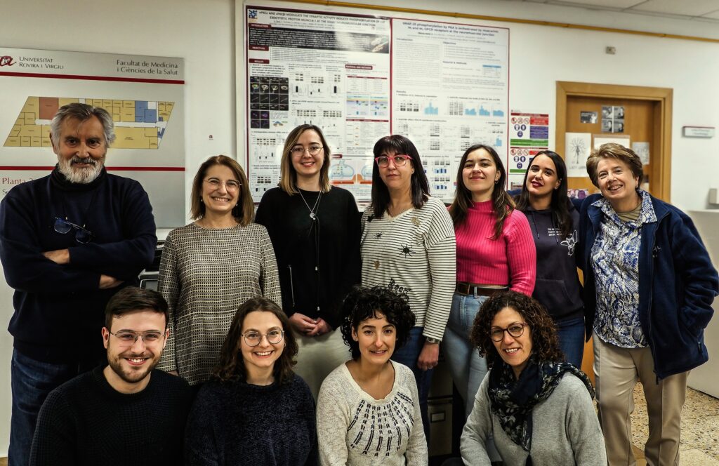 Una dieta rica en antioxidantes puede prevenir el deterioro neuromuscular