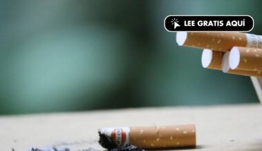 Por qué la gente vuelve a fumar y cómo dejarlo (incluso tarde) protege el cerebro