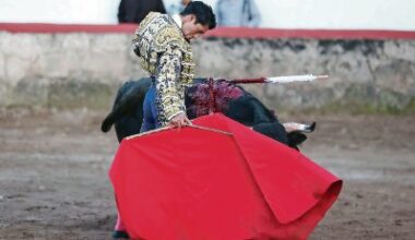 Llegan los toros a la Plaza Mérida