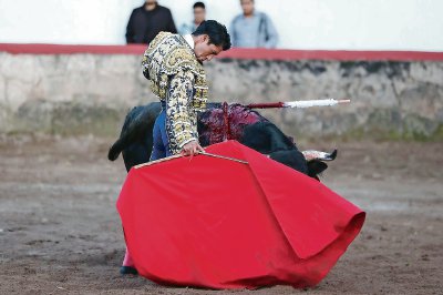 Llegan los toros a la Plaza Mérida