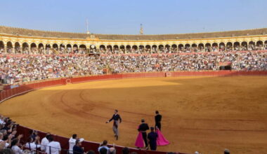 Tarde de toros solidaria - SevillaInfo