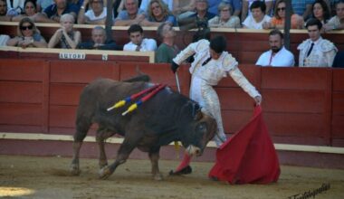 Galería de Tomás Bastos en Sanlúcar