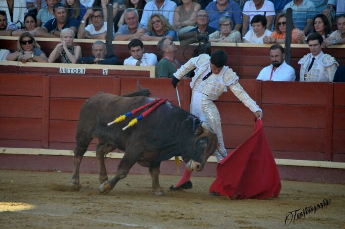Galería de Tomás Bastos en Sanlúcar