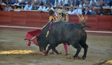 Galería de Álvaro Serrano en Sanlúcar