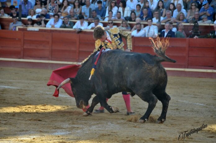 Galería de Álvaro Serrano en Sanlúcar