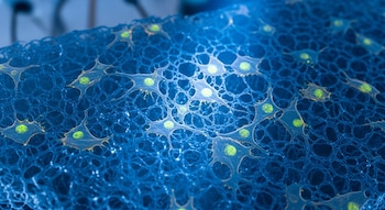 Basado en difusión latente y