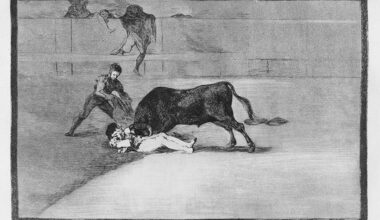La desgraciada muerte de Pepe-Hillo en la plaza de Madrid, de Francisco de Goya. toros