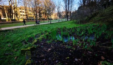 Ingresa en prisión tras violar a un varón en el parque de Cristina Enea de Donostia