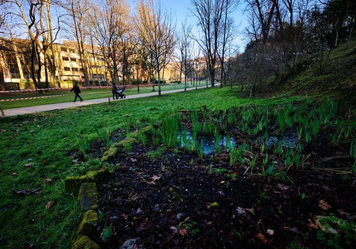 Ingresa en prisión tras violar a un varón en el parque de Cristina Enea de Donostia