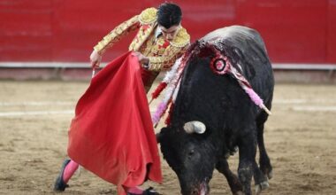 Debut de Marco Pérez en México - SALAMANCArtv AL DÍA