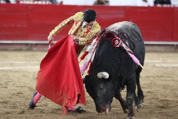 Debut de Marco Pérez en México - SALAMANCArtv AL DÍA