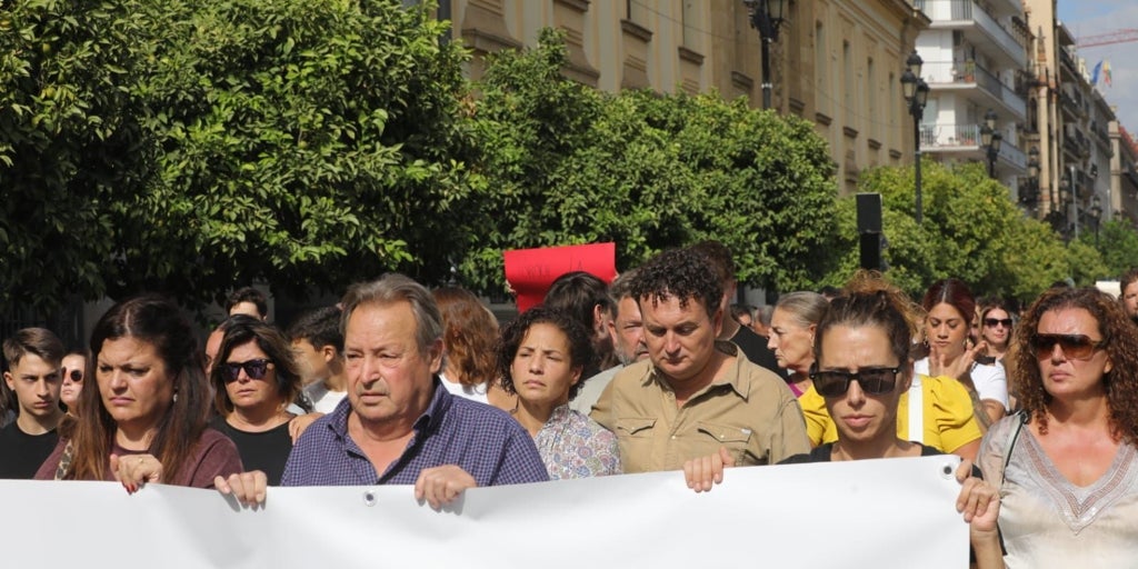 Los alumnos de Sevilla en huelga piden «justicia» para Sandra, la joven víctima de acoso escolar