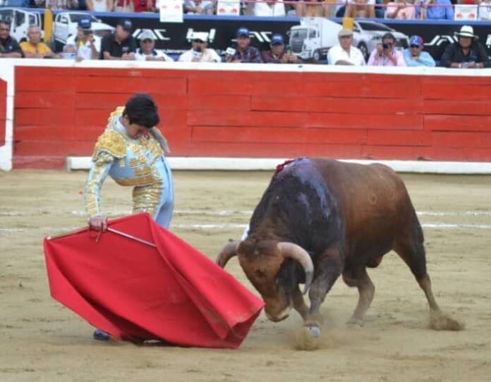 Marco Pérez debutará como matador en Venezuela y será en la Feria de San Sebastián