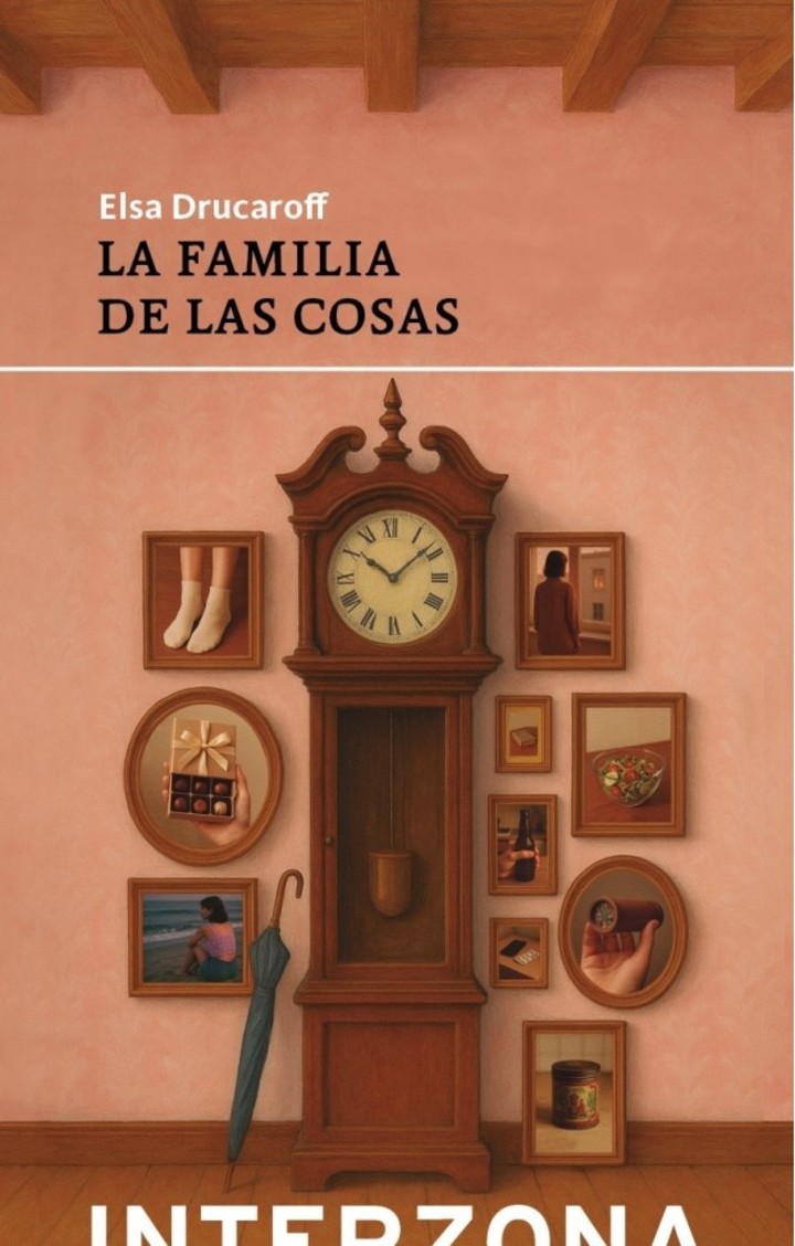 La familia de las cosas, de Elsa Drucaroff (Interzona)
