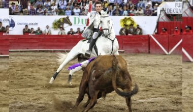 La Plaza de Toros “Vicente Segura” celebrará su 47 aniversario