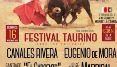 Festival taurino en San Martín de Valdeiglesias el día 16 de noviembre
