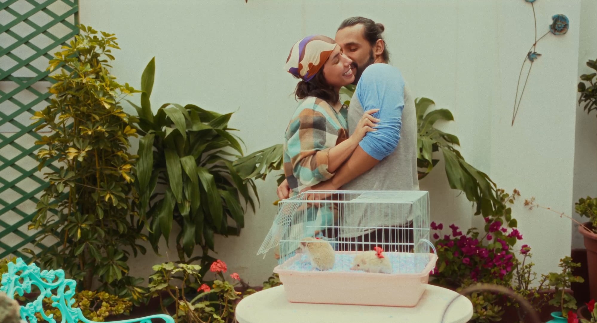 "Amor erizo". (Foto: Difusión)