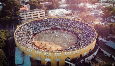 Donde el Toro y la Cultura se Encuentran