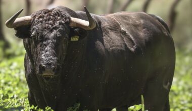 Seriedad y expectación