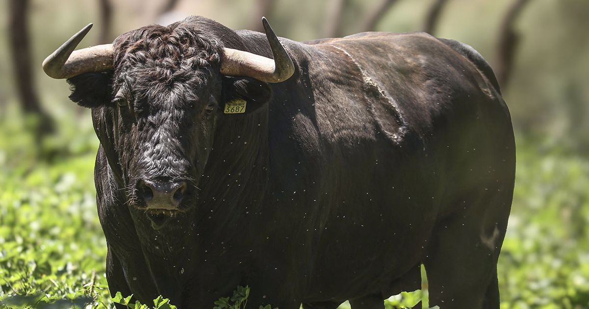 Seriedad y expectación